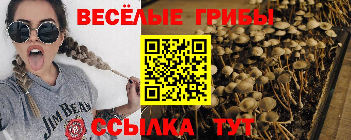 Галлюциногенные грибы Cubensis  Вход с VPN  Псилоцибиновые грибы Psilocybe  Норильск 